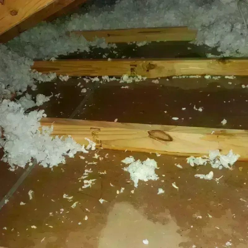 Attic Water Damage in Roosevelt Park, MI