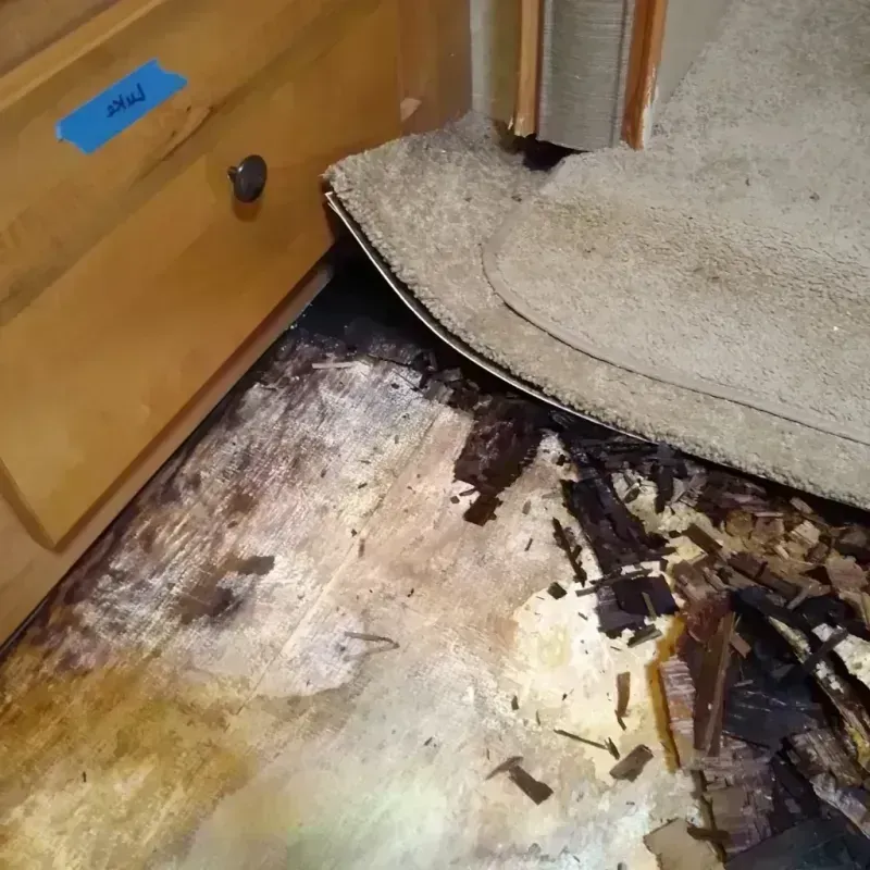 Wood Floor Water Damage in Roosevelt Park, MI